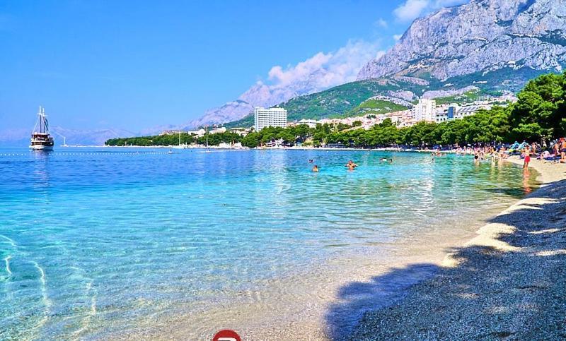 Apartment Beachfront With Wonderful Large Terrace *